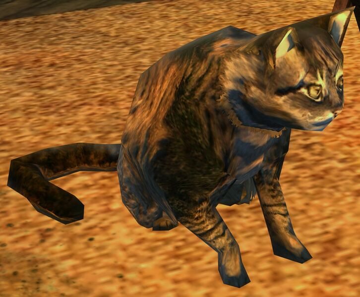 File:Scholar's Cleft Cat.jpg