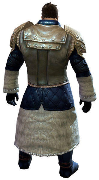 File:Seeker armor norn male back.jpg