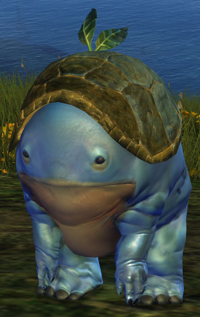 Endless Blue Quaggan Tonic Guild Wars 2 Wiki GW2W