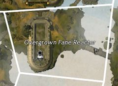 Overgrown Fane Reactor map.jpg