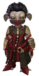 Rawhide armor asura male front.jpg