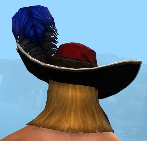 File:Swaggering Hat male norn back.jpg