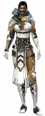 Wolf armor norn female front.jpg