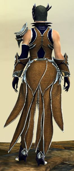 File:Mist Shard armor (light) norn female back.jpg