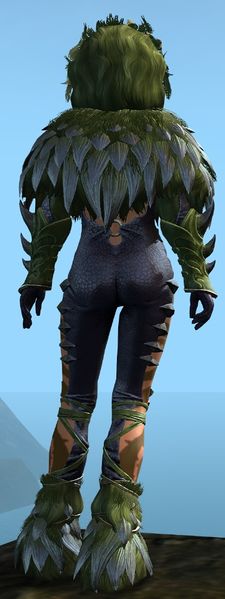 File:Primal Warden Outfit norn female back.jpg