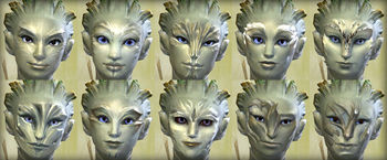 Sylvari female faces.jpg
