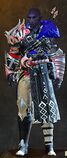 Wandering Weapon Master Outfit sylvari male front.jpg