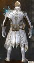 Astral Scholar Outfit norn male back.jpg