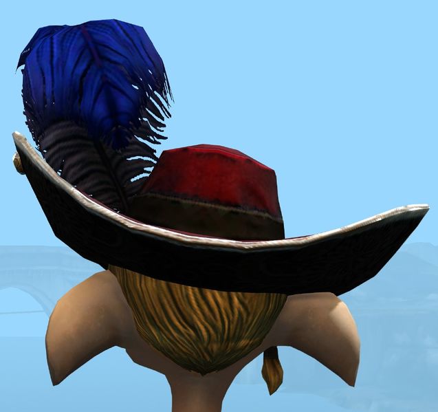 File:Swaggering Hat male asura back.jpg