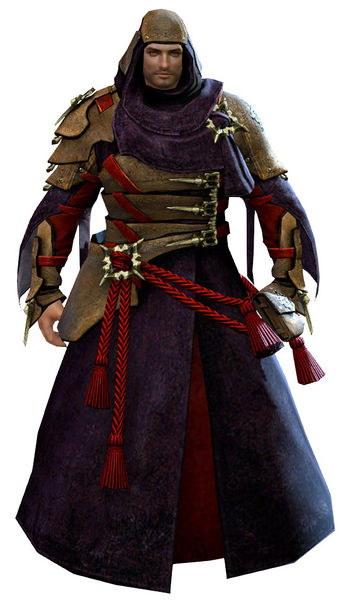 File:Arcane Outfit norn male front.jpg