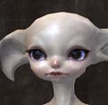 Gw2-new-faces-festival-of-four-winds-asura-male-1.jpg