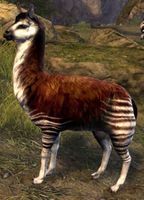 Striped Llama.jpg