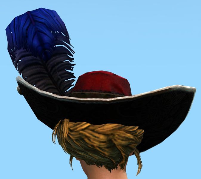 File:Swaggering Hat female norn back.jpg