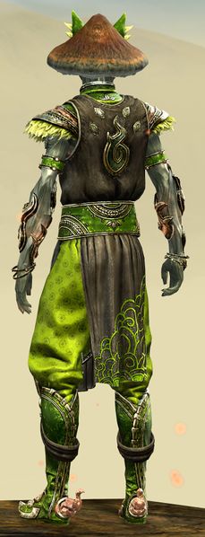 File:Shrine Guardian Outfit sylvari male back.jpg
