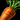 Tasty Golden Carrot