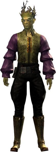 File:Ornate Clothing Outfit sylvari male front.jpg