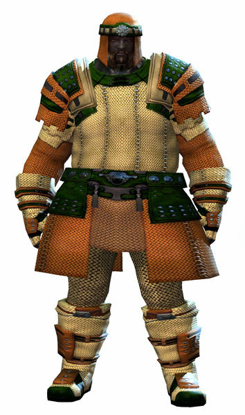 File:Chainmail armor norn male front.jpg
