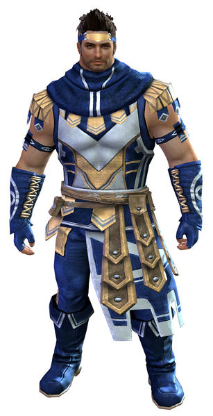 File:Vigil's Honor armor (light) norn male front.jpg