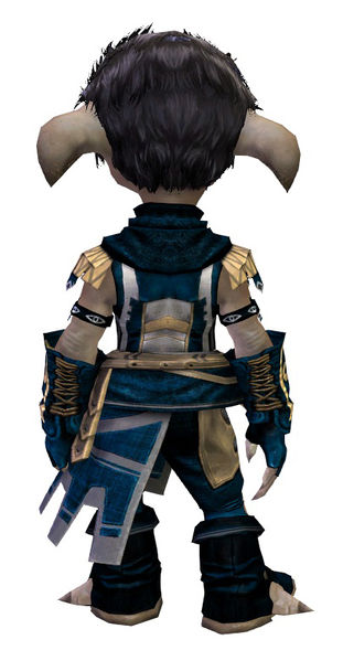 File:Vigil's Honor armor (light) asura male back.jpg