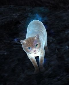 Ghostly Cat.jpg