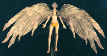 White Feather Wings Glider.jpg