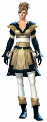 Country armor norn female front.jpg
