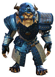 Ascalonian Sentry armor charr male front.jpg