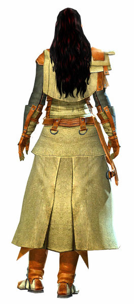 File:Leather armor norn female back.jpg