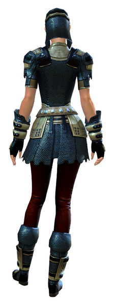 File:Chainmail armor human female back.jpg