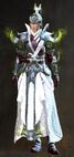 Divine Conqueror Outfit norn female front.jpg