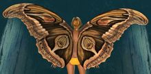 Moth Wings Glider.jpg
