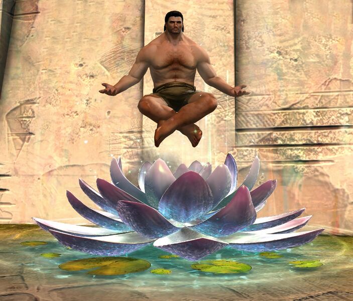 File:Mystic Lotus Chair norn male.jpg
