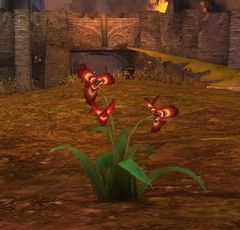 Red Iris Flower (object).jpg