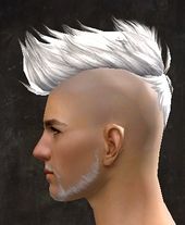 Unique human male hair side 13.jpg