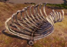 Primordial Leviathan Rib Cage- Right Curved.jpg
