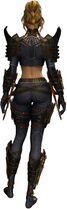 True Assassin's Guise Outfit human female back.jpg