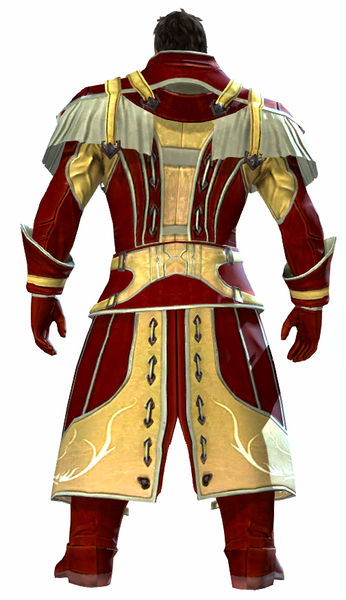 File:Apprentice armor norn male back.jpg