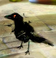 Shadow Raven Tonic.jpg
