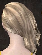 Unique human female hair back 8.jpg