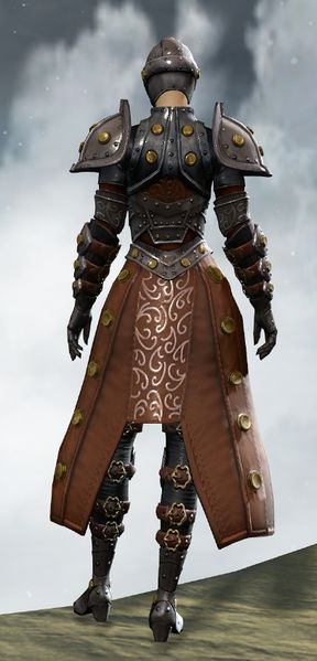 File:Ironclad Outfit norn female back.jpg