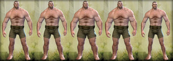Norn male physique.jpg