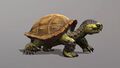 Baby siege turtle; see this link for the full animation.