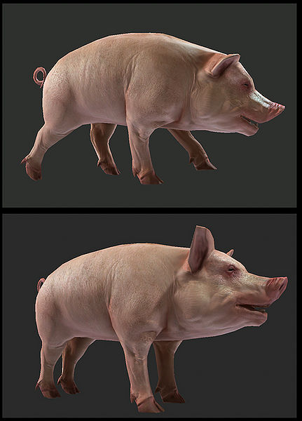 File:Pig render.jpg