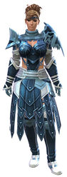 Vigil's Honor armor (medium) norn female front.jpg