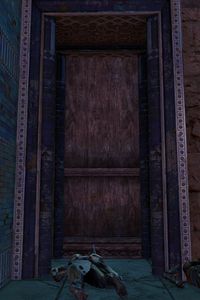 Hidden Door.jpg