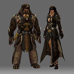 Guild Warsnorn on Bear Spirit   Guild Wars 2 Wiki  Gw2w