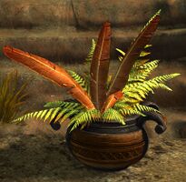 Potted Gold Fern.jpg