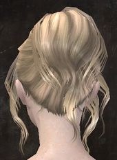 Unique human female hair back 9.jpg