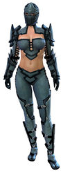 Sneakthief armor norn female front.jpg