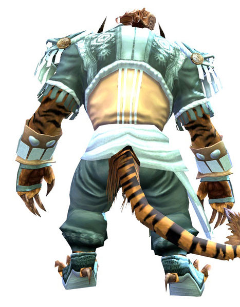 File:Embroidered armor charr male back.jpg